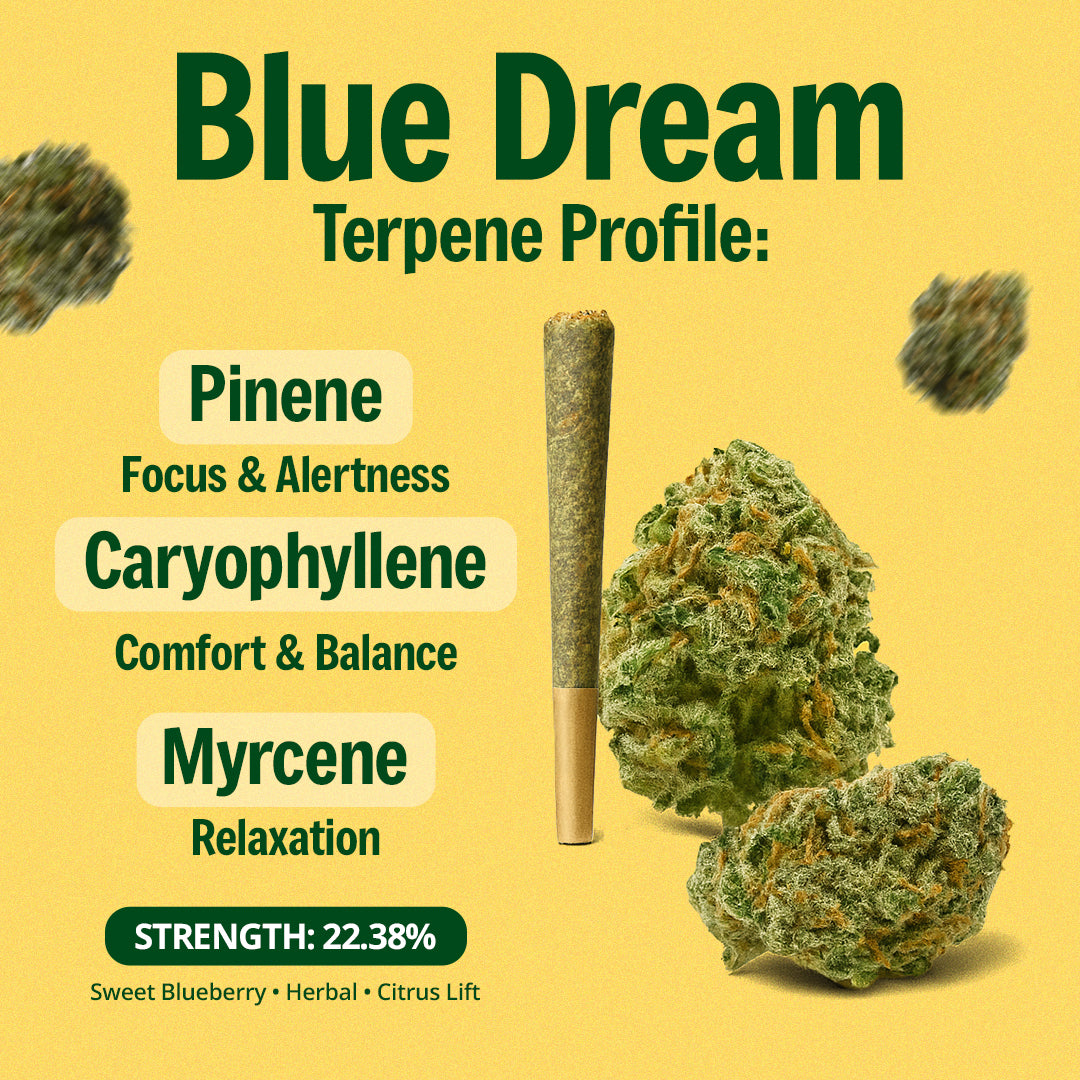 Blue Dream Pre-Roll
