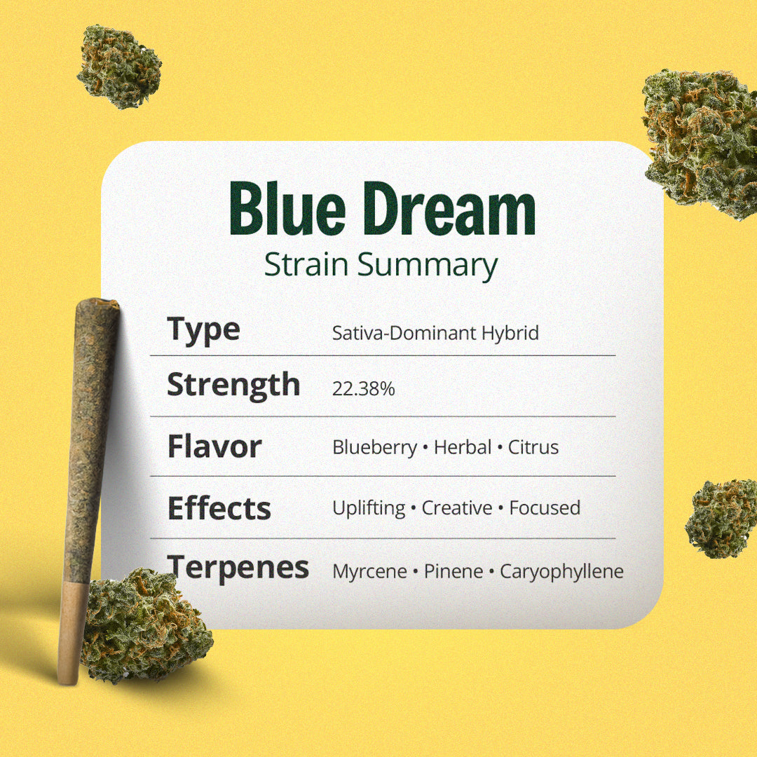 Blue Dream Pre-Roll
