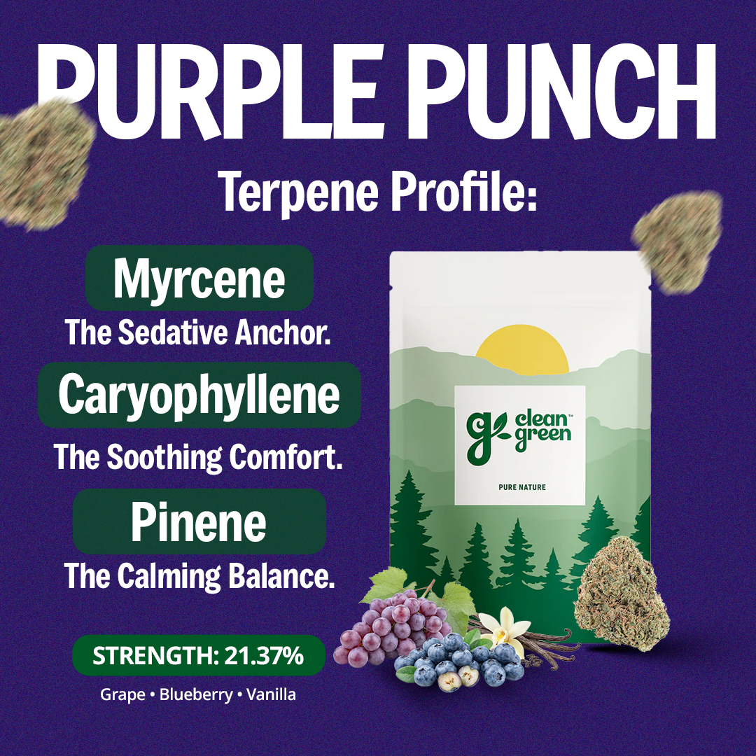 Purple Punch