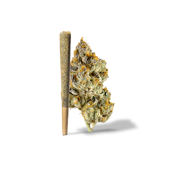 Oreo Pre-Roll