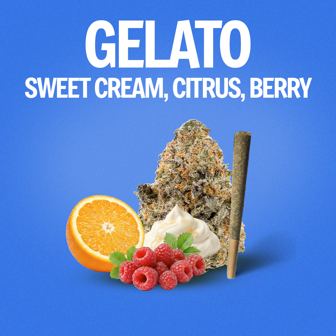 Gelato Pre-Roll