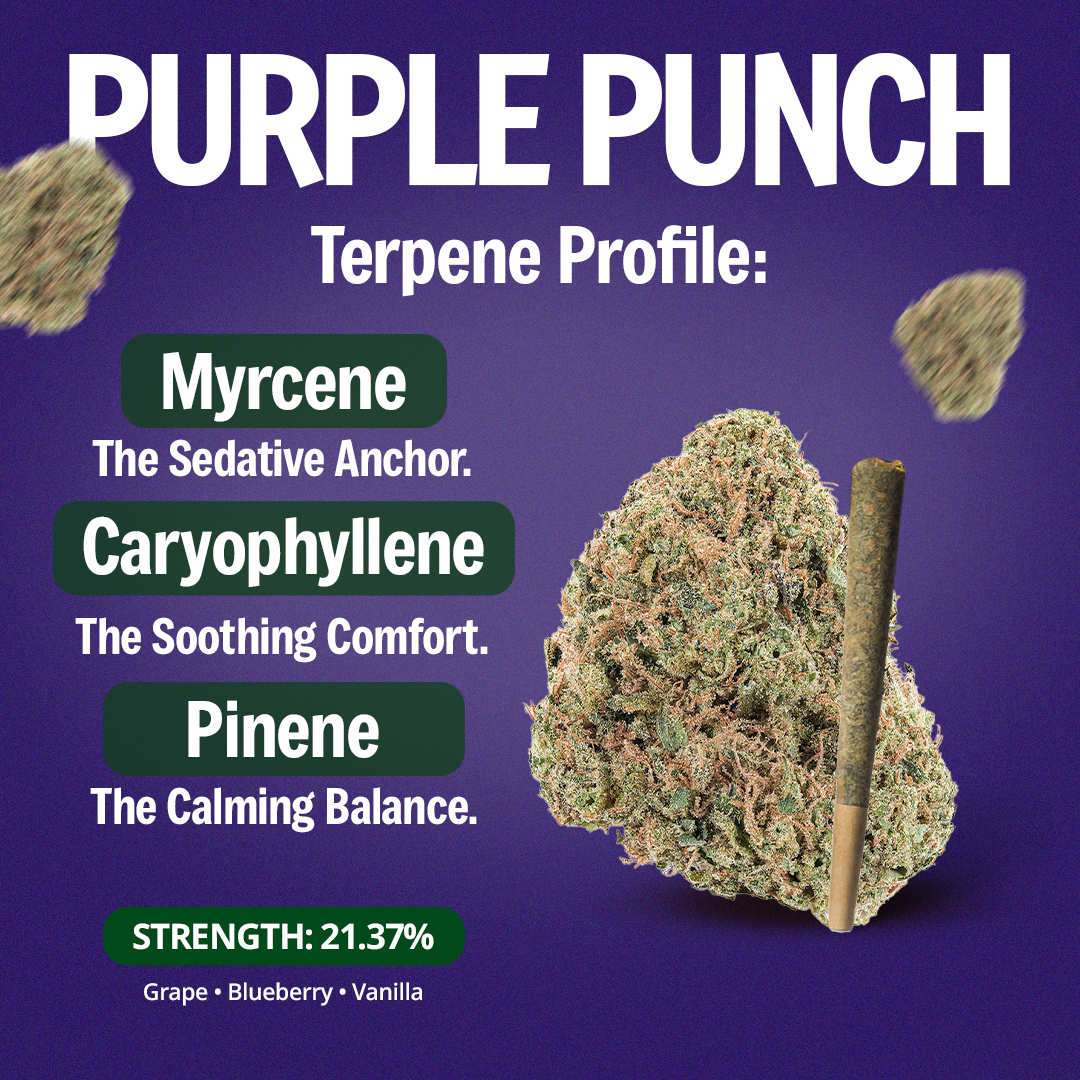 Purple Punch Pre-Roll