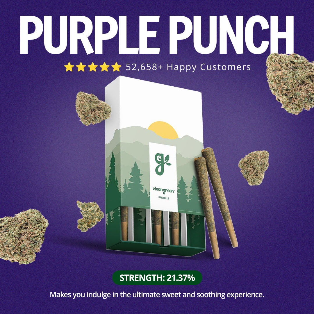 Purple Punch Pre-Roll