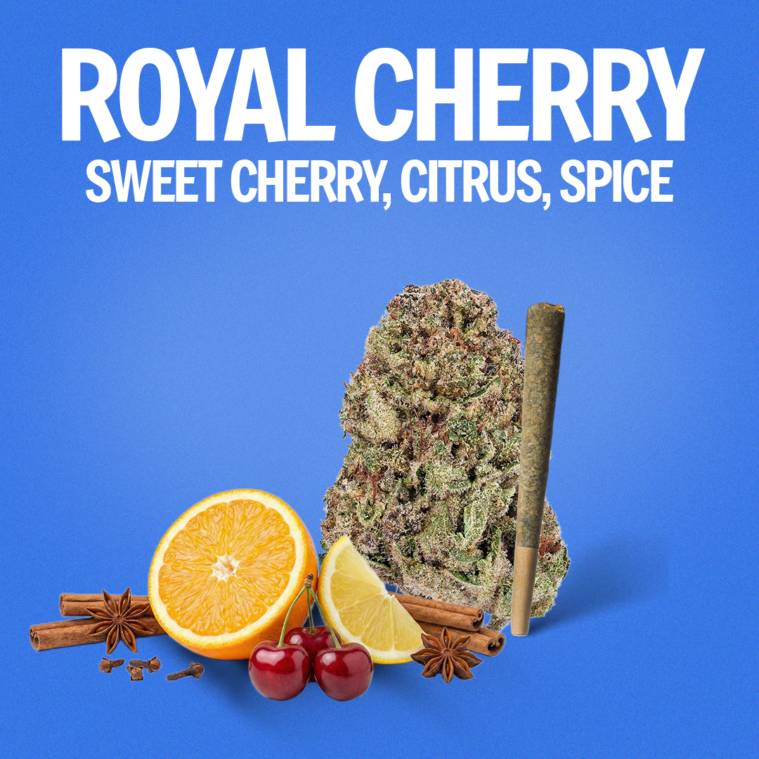 Royal Cherry Pre-Roll