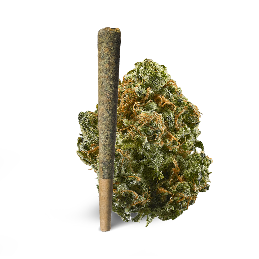 Pre Rolls