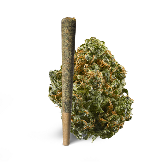 Blue Dream Pre-Roll