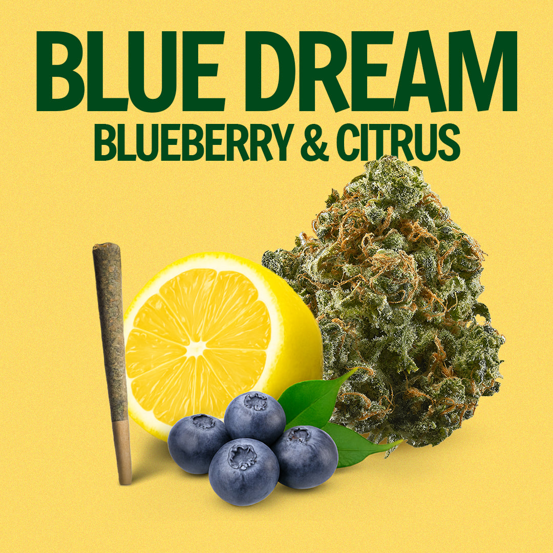 Blue Dream Pre-Roll
