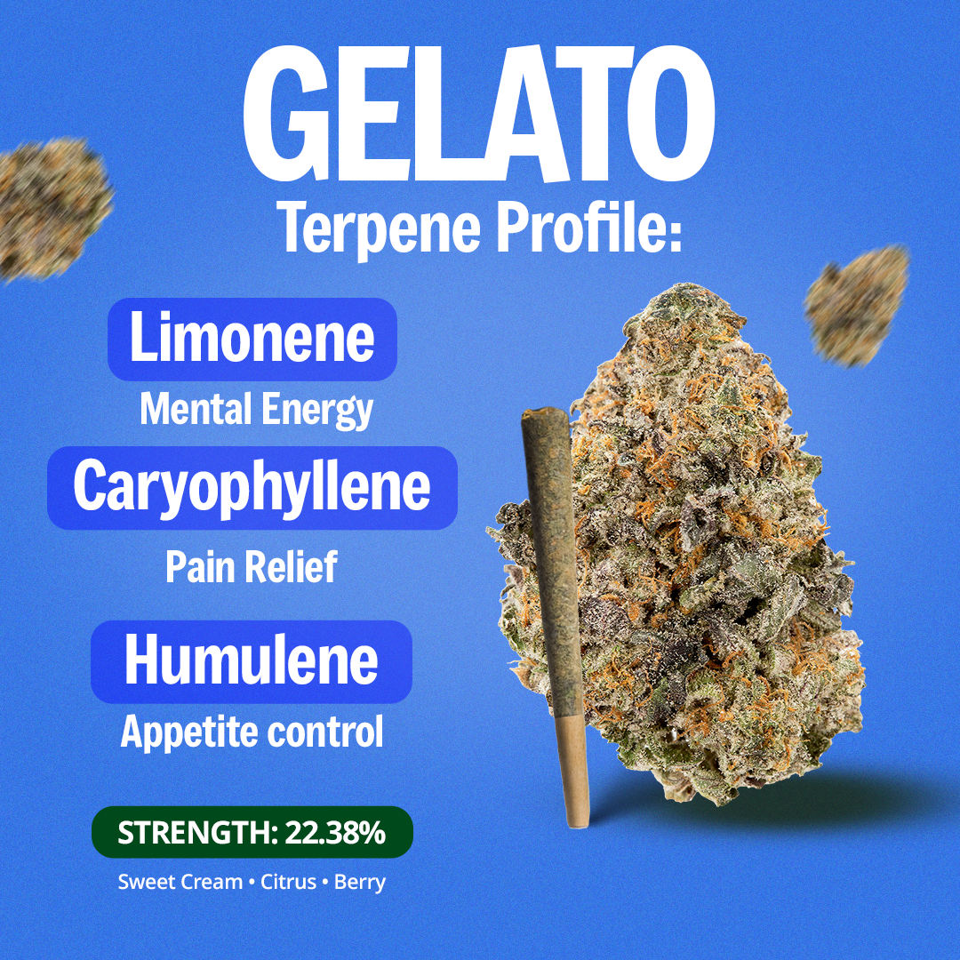Gelato Pre-Roll