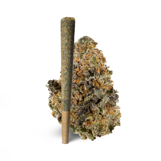 Gelato Pre-Roll