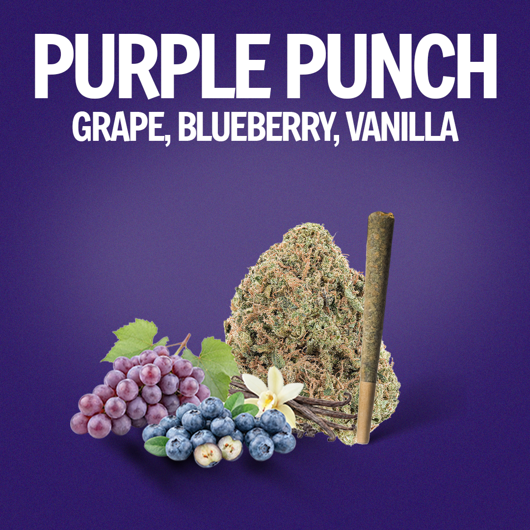 Purple Punch Pre-Roll