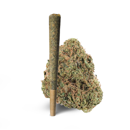 Purple Punch Pre-Roll