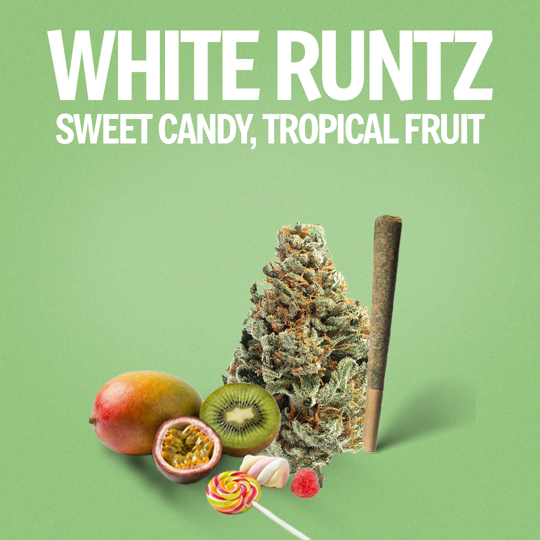 White Runtz Pre-Roll