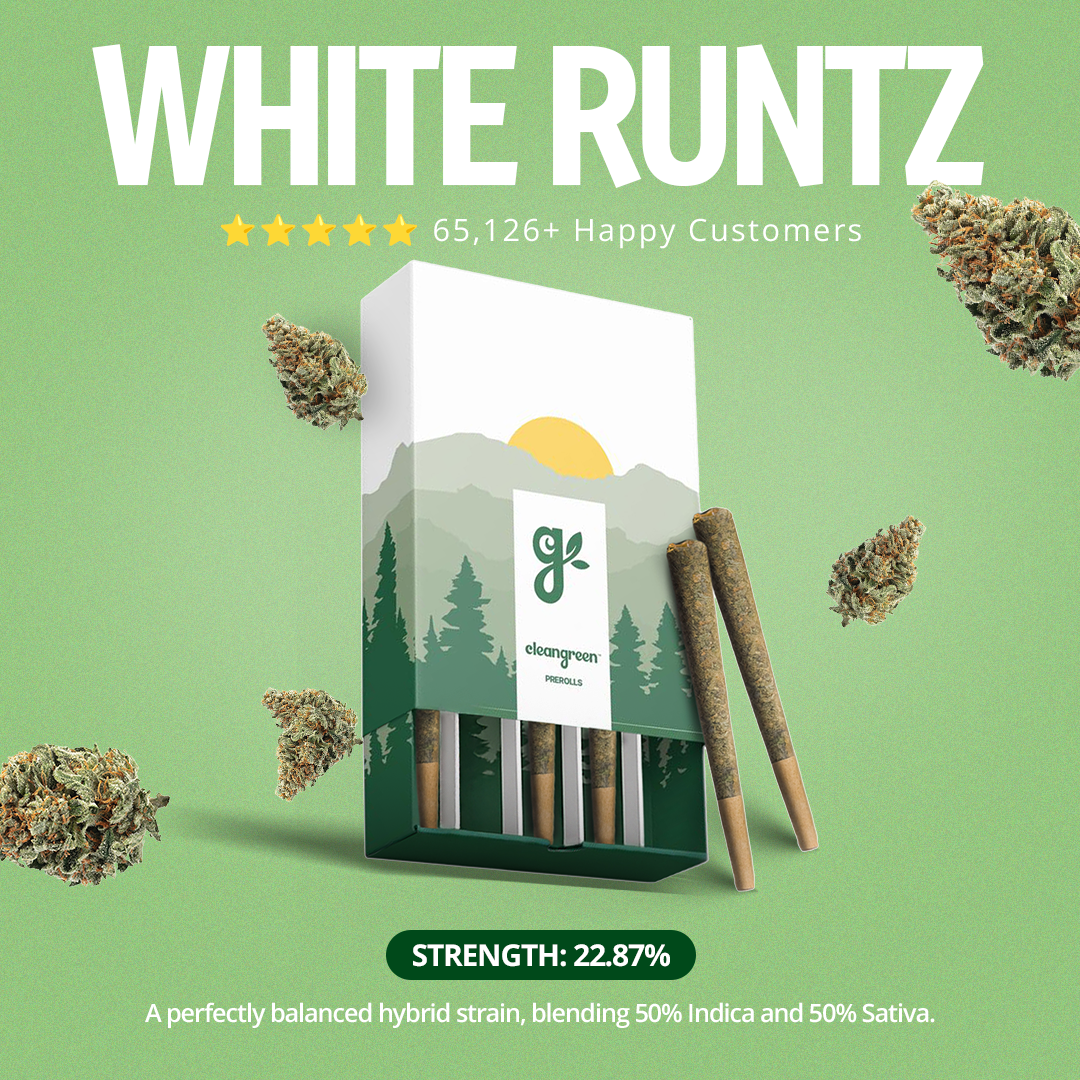 White Runtz Pre-Roll