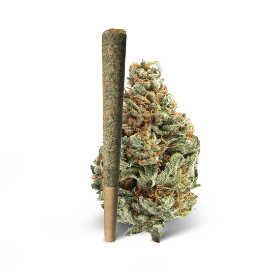 White Runtz Pre-Roll