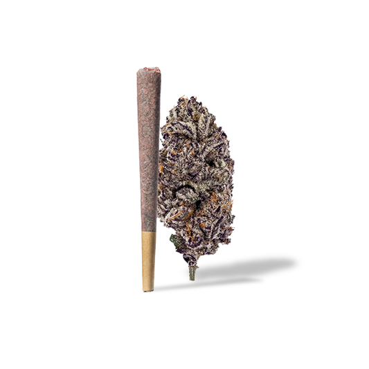 Purple Punch Pre-Roll